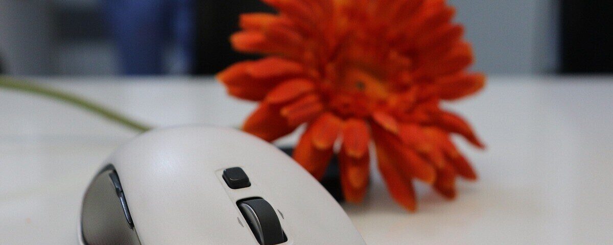 LOFO - czym jest i na czym polega?